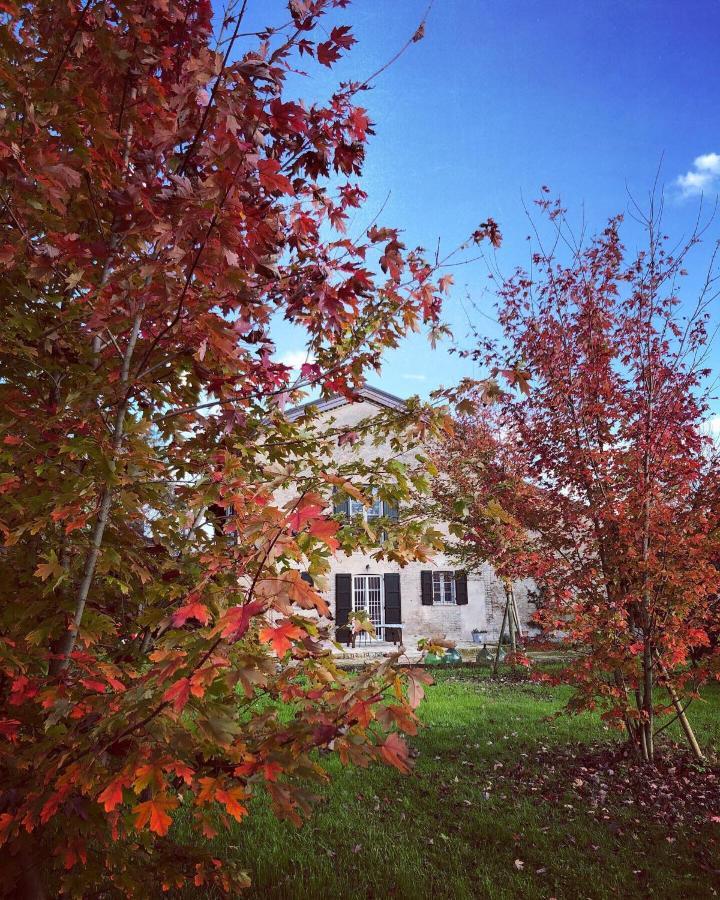 B&B Podere Merlo Parma Bagian luar foto